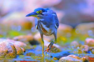 马竞在西甲联赛中的排名与实力解析马竞西甲联赛排名榜前十